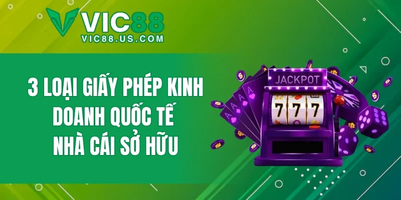 Giấy Phép Kinh Doanh VIC88 - Nền Tảng Pháp Lý Uy Tín 2026 - megaru