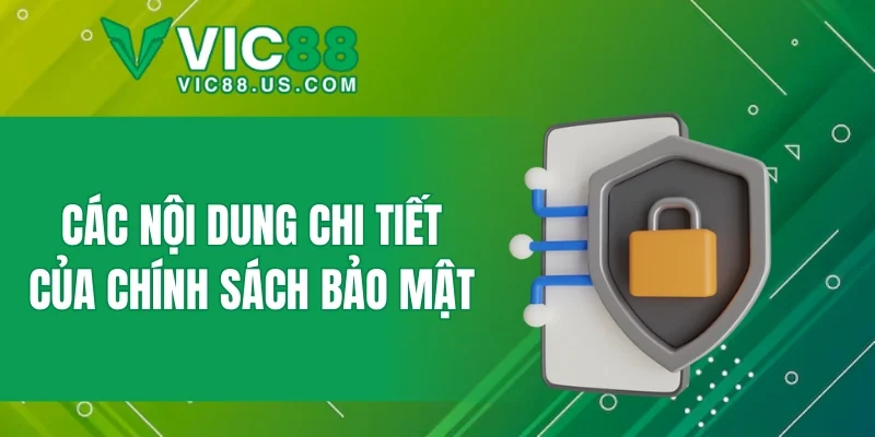Chính Sách Bảo Mật - Những Nguyên Tắc Cần Biết Tại VIC88 - megaru