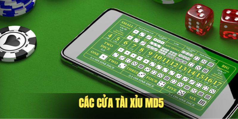 Tài Xỉu MD5 - Trò Chơi Cá Cược Hấp Dẫn, Quỹ Thưởng Khủng - megaru