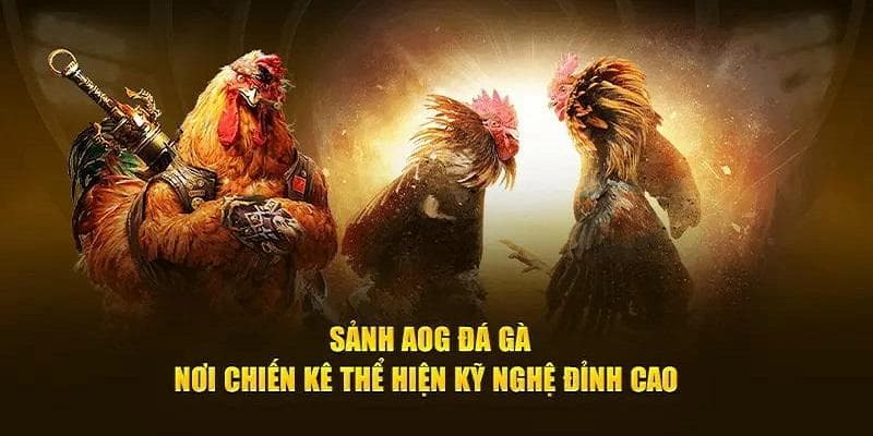 Đá Gà AOG DF999 - Sảnh Cá Cược Hấp Dẫn Cho Các Kê Sư 2026 - megaru