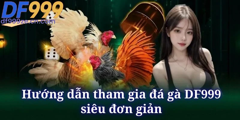 Đá Gà DF999 - Các Hình Thức Cược Đỉnh Cao Nhất 2026 - megaru