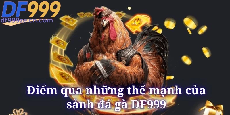 Đá Gà DF999 - Các Hình Thức Cược Đỉnh Cao Nhất 2026 - megaru