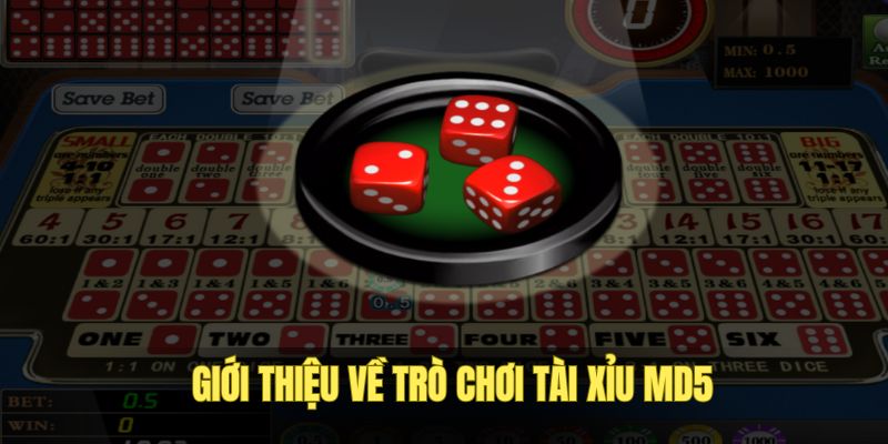 Tài Xỉu MD5 - Trò Chơi Cá Cược Hấp Dẫn, Quỹ Thưởng Khủng - megaru