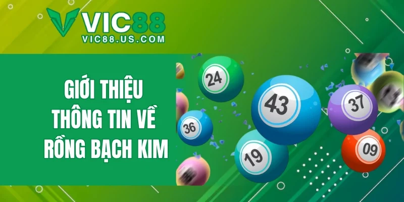 Rồng Bạch Kim - Dự Đoán Kết Quả Chuẩn Xác Nhất 2026 - megaru