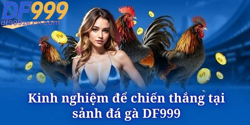 Đá Gà DF999 - Các Hình Thức Cược Đỉnh Cao Nhất 2026 - megaru