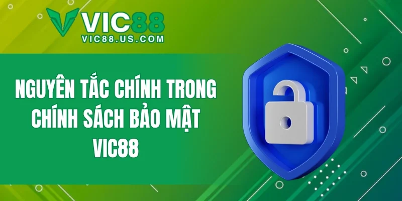 Chính Sách Bảo Mật - Những Nguyên Tắc Cần Biết Tại VIC88 - megaru
