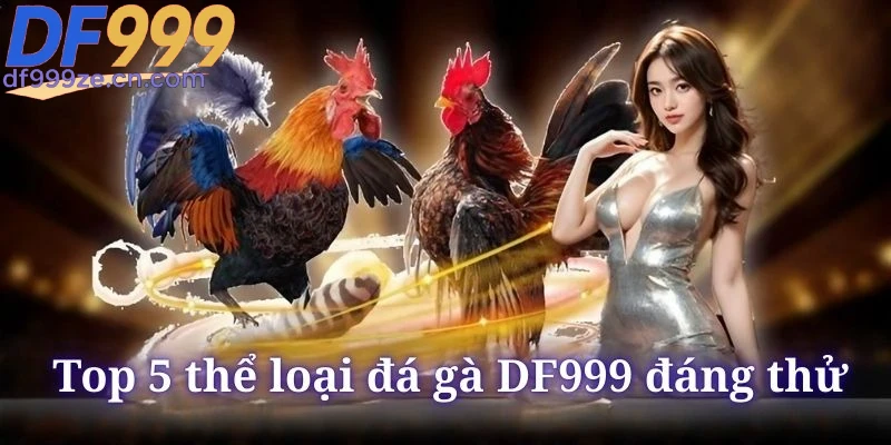 Đá Gà DF999 - Các Hình Thức Cược Đỉnh Cao Nhất 2026 - megaru