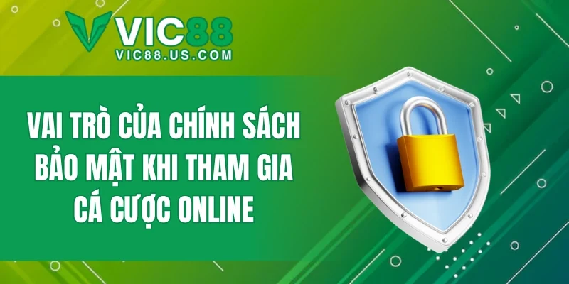 Chính Sách Bảo Mật - Những Nguyên Tắc Cần Biết Tại VIC88 - megaru
