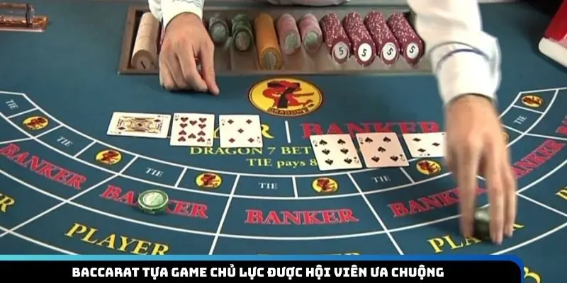 DG Live Casino - Sảnh Cược Đổi Thưởng Đẳng Cấp, Hiện Đại - megaru